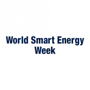 Battery Japan (World Smart Energy Week) 2024