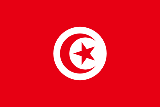 Société des Foires Internationales de Tunis s.a.